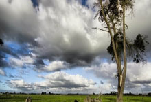 2024志向高远的男孩起名参考(精选15个)